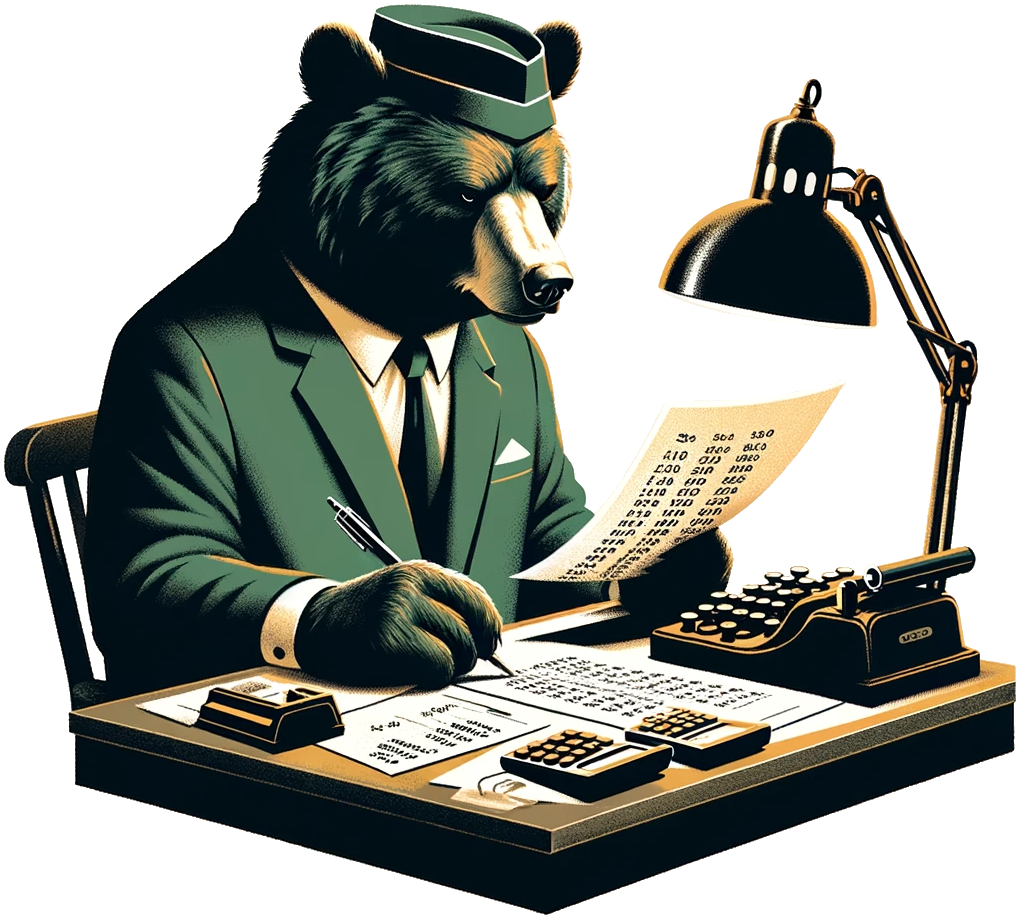 bear accountant