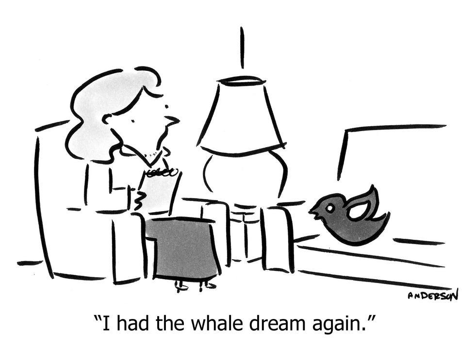 i had whale dream again