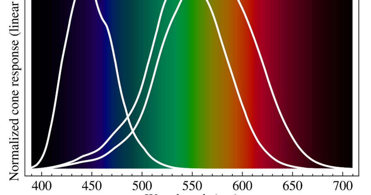 Hero image for Color Wheels are wrong? How color vision actually works