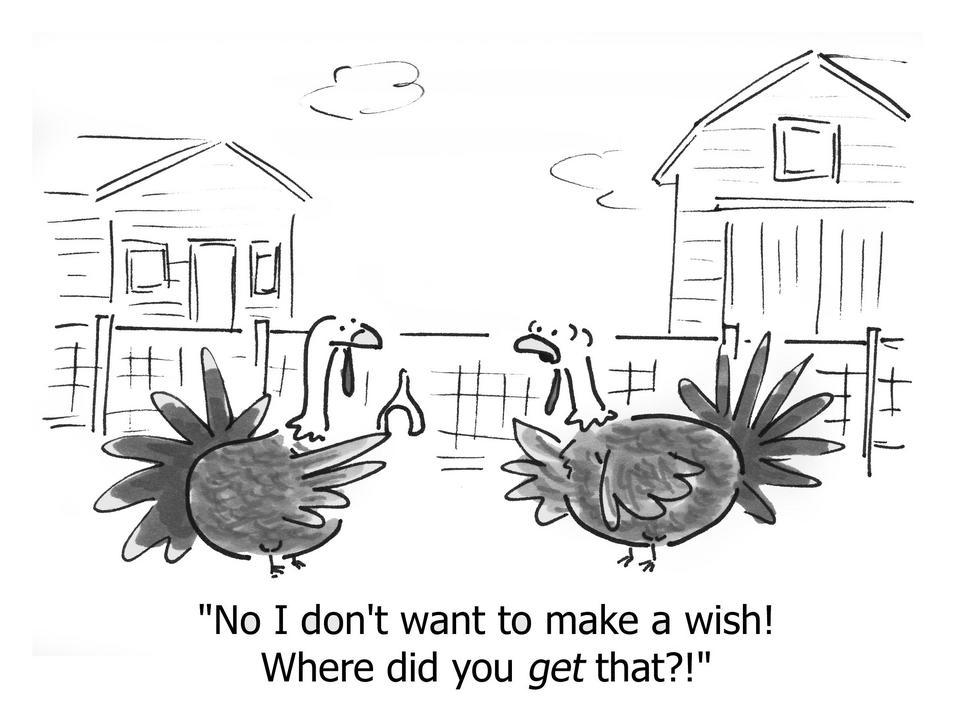 no i dont want to make wish where did you get that