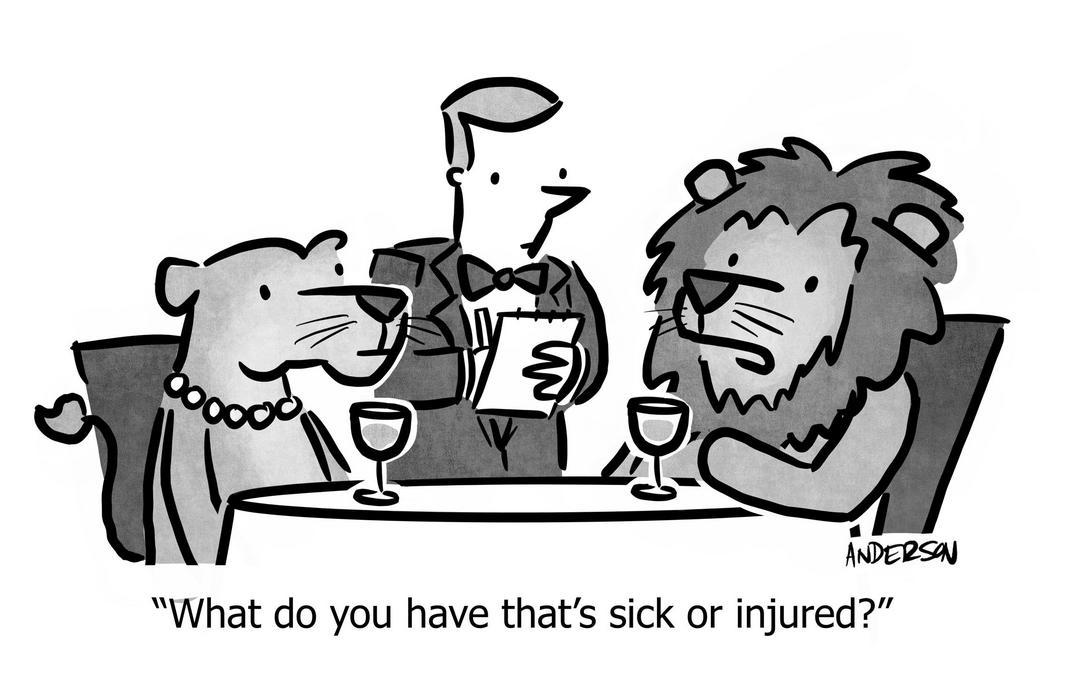 What do you have that's sick or injured?