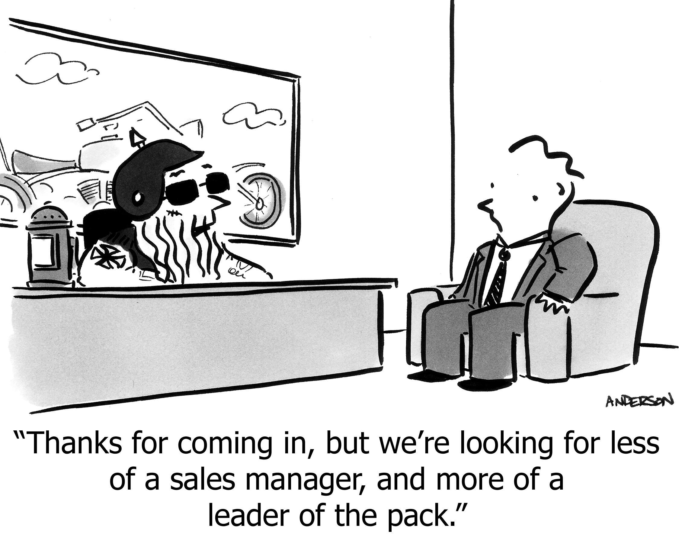 Thanks for coming in, but we're looking for less of a sales manager, and more of a leader of the pack.