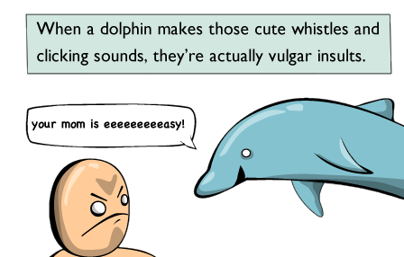 oatmeal dolphin comic