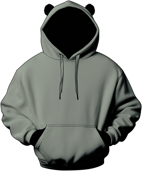 Bear in hoodie