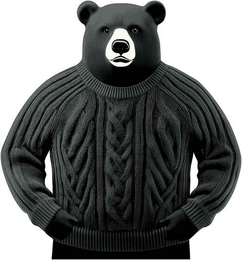 Bear in sweater
