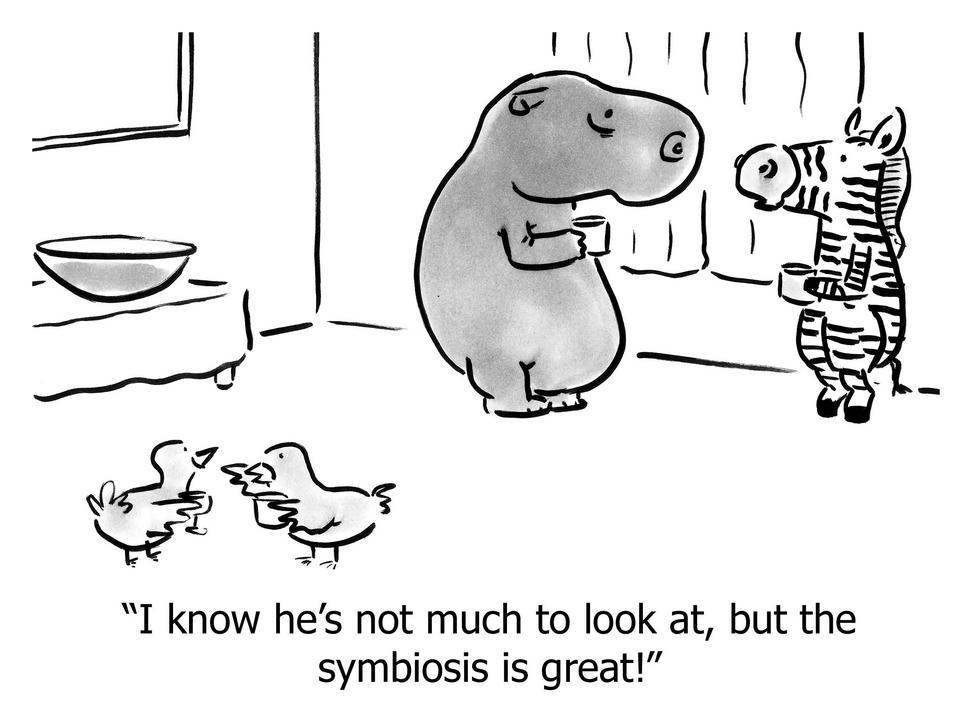 i know hes not much to look at but symbiosis great