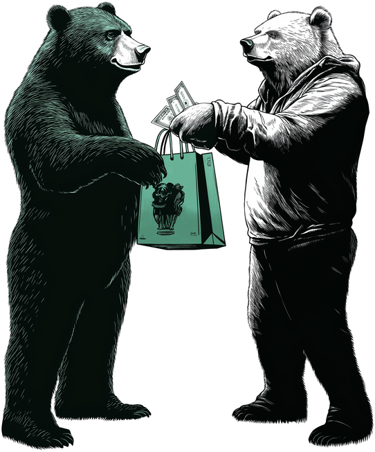 bear making a purchase