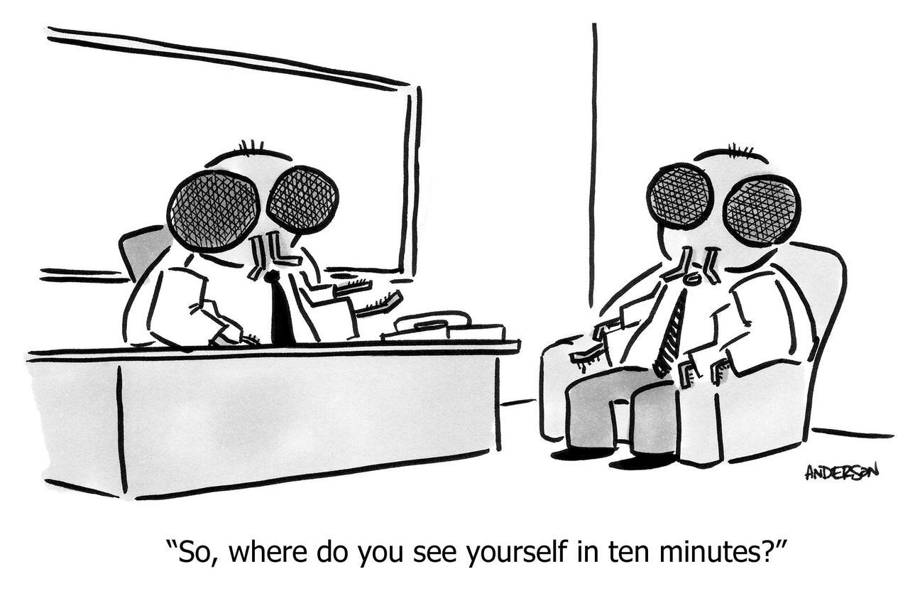 where do you see yourself in ten minutes?