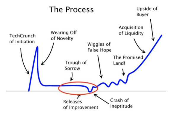 Emotional rollercoaster, from elation at launch to despair in the middle to the relative calm of maturity